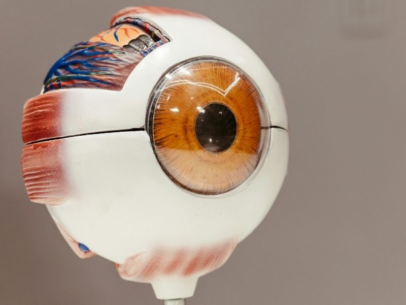 vitrektomi-ameliyati